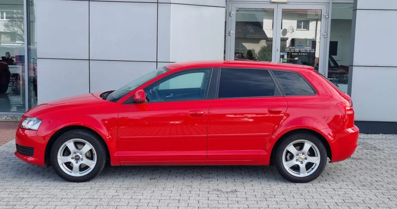 Audi A3 cena 24900 przebieg: 189500, rok produkcji 2008 z Hajnówka małe 56